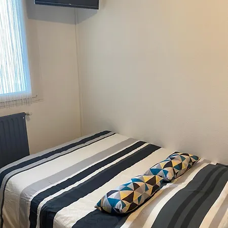 Nancy, Magnifique Totalement Climatise, Meuble, Salle De Bains Et Wc Separes, Parking Prive, Cuisine Equipee, Wifi * Malzéville