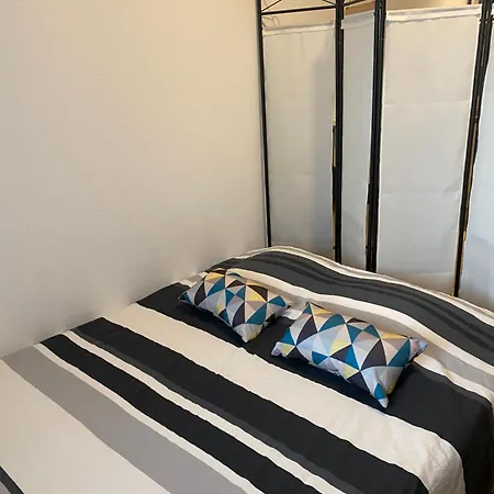 Nancy, Magnifique Totalement Climatise, Meuble, Salle De Bains Et Wc Separes, Parking Prive, Cuisine Equipee, Wifi