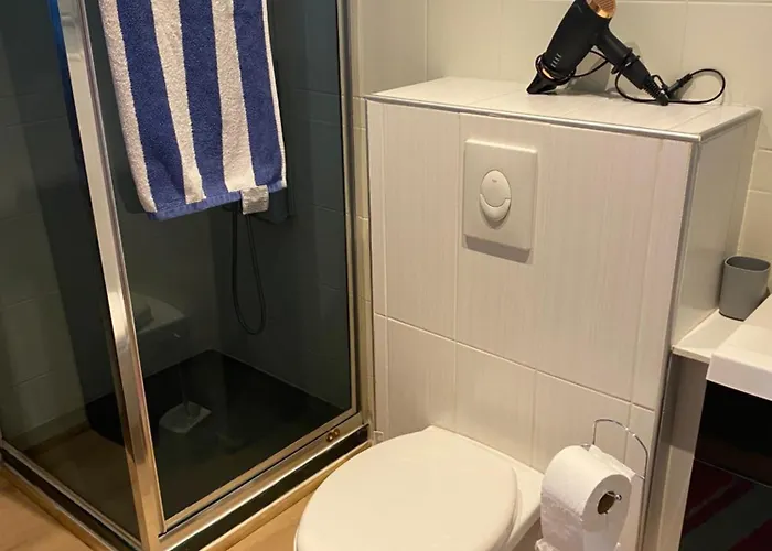 Nancy, Magnifique Totalement Climatise, Meuble, Salle De Bains Et Wc Separes, Parking Prive, Cuisine Equipee, Wifi *