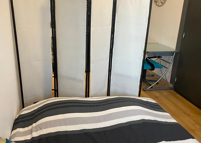 Nancy, Magnifique Totalement Climatise, Meuble, Salle De Bains Et Wc Separes, Parking Prive, Cuisine Equipee, Wifi Malzéville