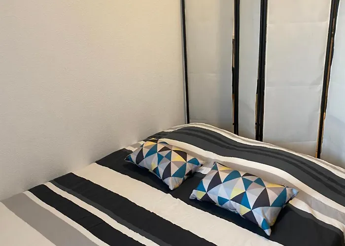 Nancy, Magnifique Totalement Climatise, Meuble, Salle De Bains Et Wc Separes, Parking Prive, Cuisine Equipee, Wifi