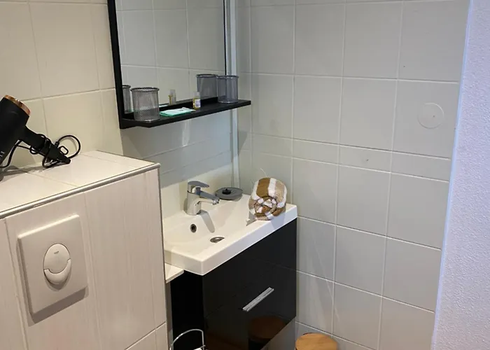 Apartmán Nancy, Magnifique Totalement Climatise, Meuble, Salle De Bains Et Wc Separes, Parking Prive, Cuisine Equipee, Wifi *