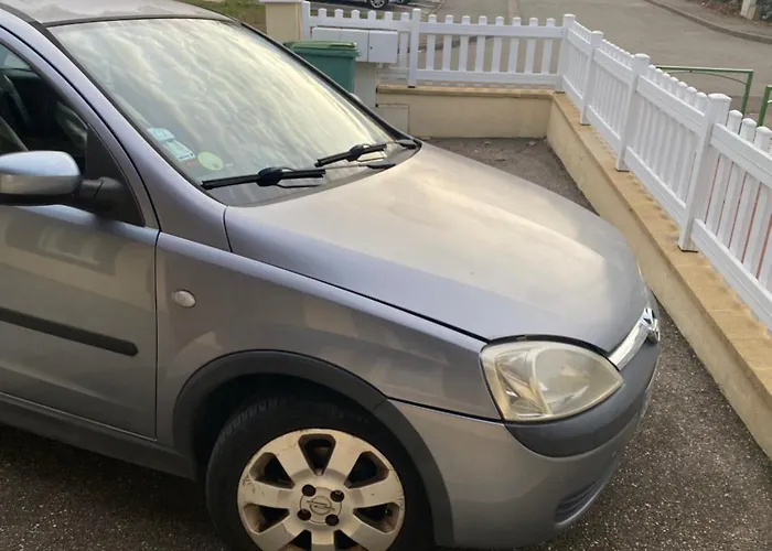 Nancy, Magnifique Totalement Climatise, Meuble, Salle De Bains Et Wc Separes, Parking Prive, Cuisine Equipee, Wifi Malzéville