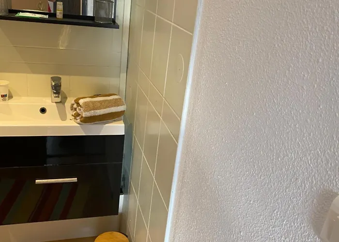 Apartmán Nancy, Magnifique Totalement Climatise, Meuble, Salle De Bains Et Wc Separes, Parking Prive, Cuisine Equipee, Wifi *