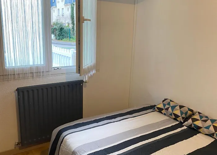Nancy, Magnifique Totalement Climatise, Meuble, Salle De Bains Et Wc Separes, Parking Prive, Cuisine Equipee, Wifi